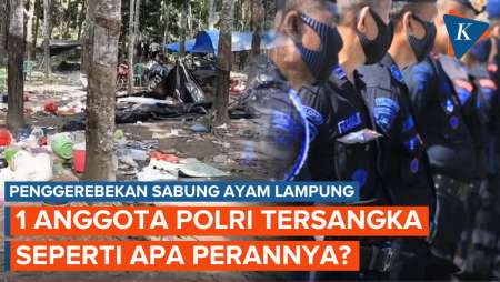 Satu Personel Polda Sumsel Jadi Tersangka Sabung Ayam di Lampung, Ini Perannya!