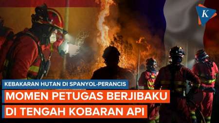 Momen Petugas Berjibaku Hadapi Kebakaran Hutan di Spanyol dan Perancis