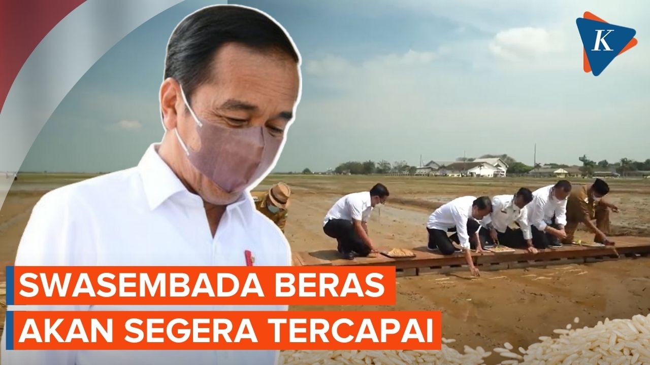Jokowi: Swasembada Beras Akan Segera Tercapai