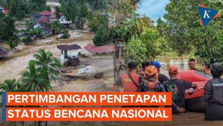 Apa Pertimbangan Ditetapkannya Status Bencana Nasional?