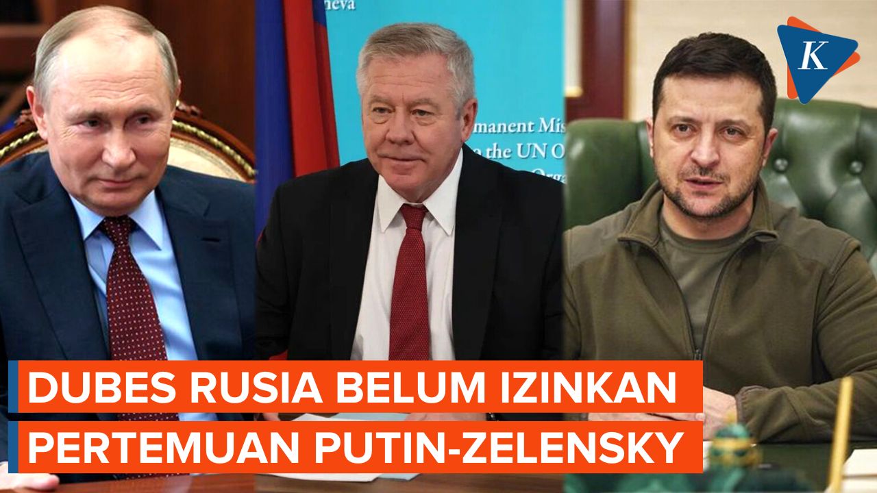 Turkiye dan Indonesia Tawarkan Fasilitasi Pertemuan Putin-Zelensky, Dubes Rusia Sebut Belum Bisa