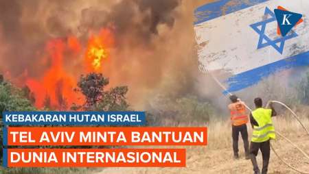 Kebakaran Israel Membakar Hutan di Yerusalem, Tel Aviv Minta Bantuan Dunia Internasional