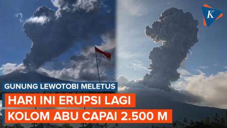 Gunung Lewotobi Laki-laki Erupsi Lagi Hari Ini, Semburkan Abu Vulkanik Setinggi 2.500 Meter