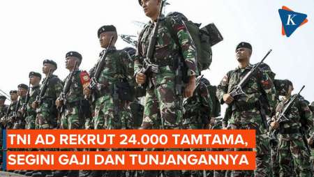 TNI Rekrut 24.000 Tamtama, Berapa Gaji dan Tunjangannya?