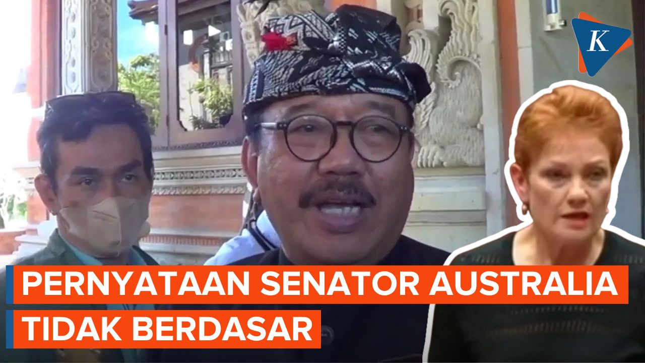 Wakil Gubernur Bali Tanggapi Pernyataan Senator Australia Tentang Kotoran Sapi di Jalanan di Bali
