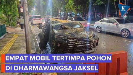 Pohon Tumbang Timpa Empat Mobil Di Dharmawangsa, Jakarta Selatan