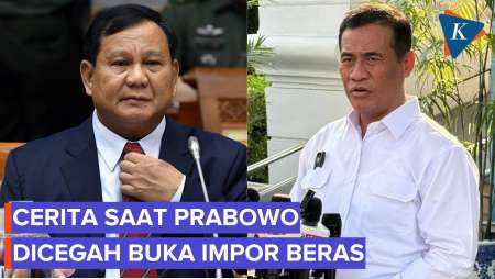 Alasan Mentan Amran Cegah Prabowo Buka Impor Beras