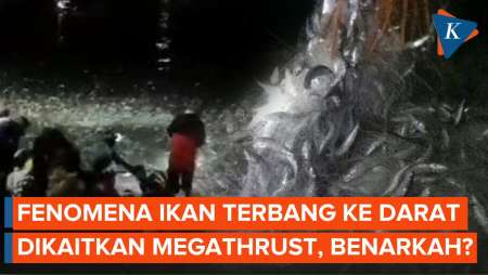 Ramai soal Fenomena Ikan Terbang ke Darat Dikaitkan Gempa Megathrust, Ini Penjelasannya