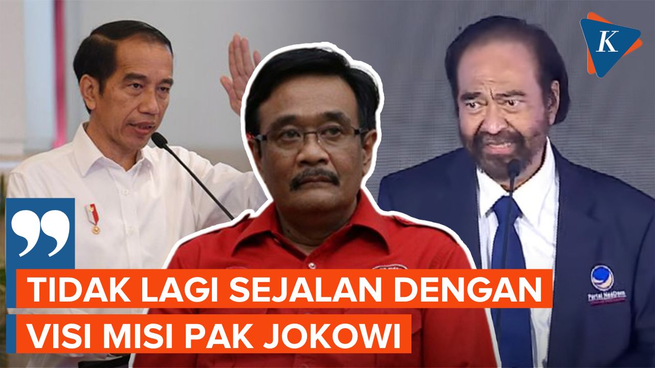 Nasdem Dinilai Sudah Tak Sejalan dengan Visi Misi Jokowi
