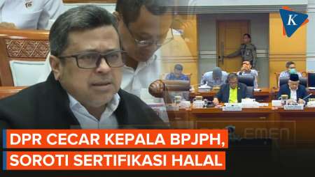 Nada Tinggi DPR Vs Babe Haikal, Tegur Sertifikasi Halal