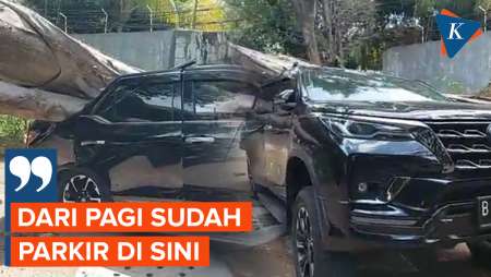 Ini Kata Dokter yang Mobilnya Tertimpa Pohon di Depan Rumah…