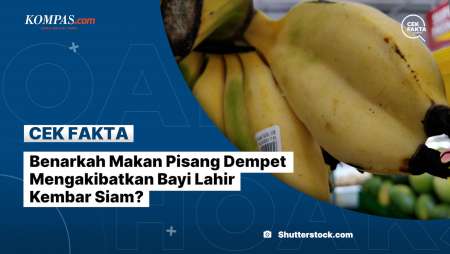 Benarkah Makan Pisang Dempet Mengakibatkan Bayi Lahir Kembar Siam?