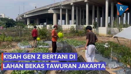Gen Z di Jakut Pilih Bertani, Ubah Lokasi Tawuran Jadi Kebun Produktif