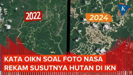 Jawaban Otorita IKN soal Foto NASA Abadikan Susut Luas Hutan