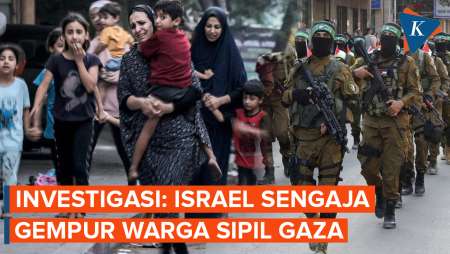 Investigasi Terbaru Ungkap Penyebab Jatuhnya Banyak Korban Jiwa di Gaza