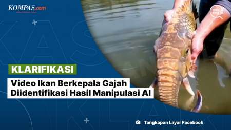 [KLARIFIKASI] Video Ikan Berkepala Gajah Diidentifikasi Hasil Manipulasi AI