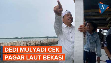 Naik Perahu, Dedi Mulyadi Cek Pagar Laut Bekasi