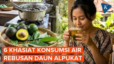 6 Manfaat Minum Air Rebusan Daun Alpukat