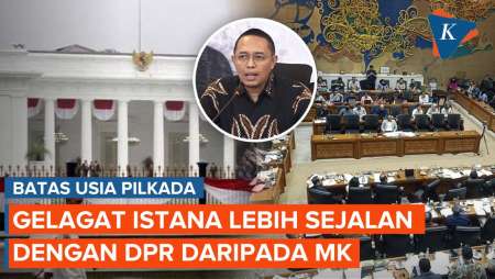 Soal Batas Usia di Pilkada, Istana: Pembuat Undang-Undang Cuma Satu