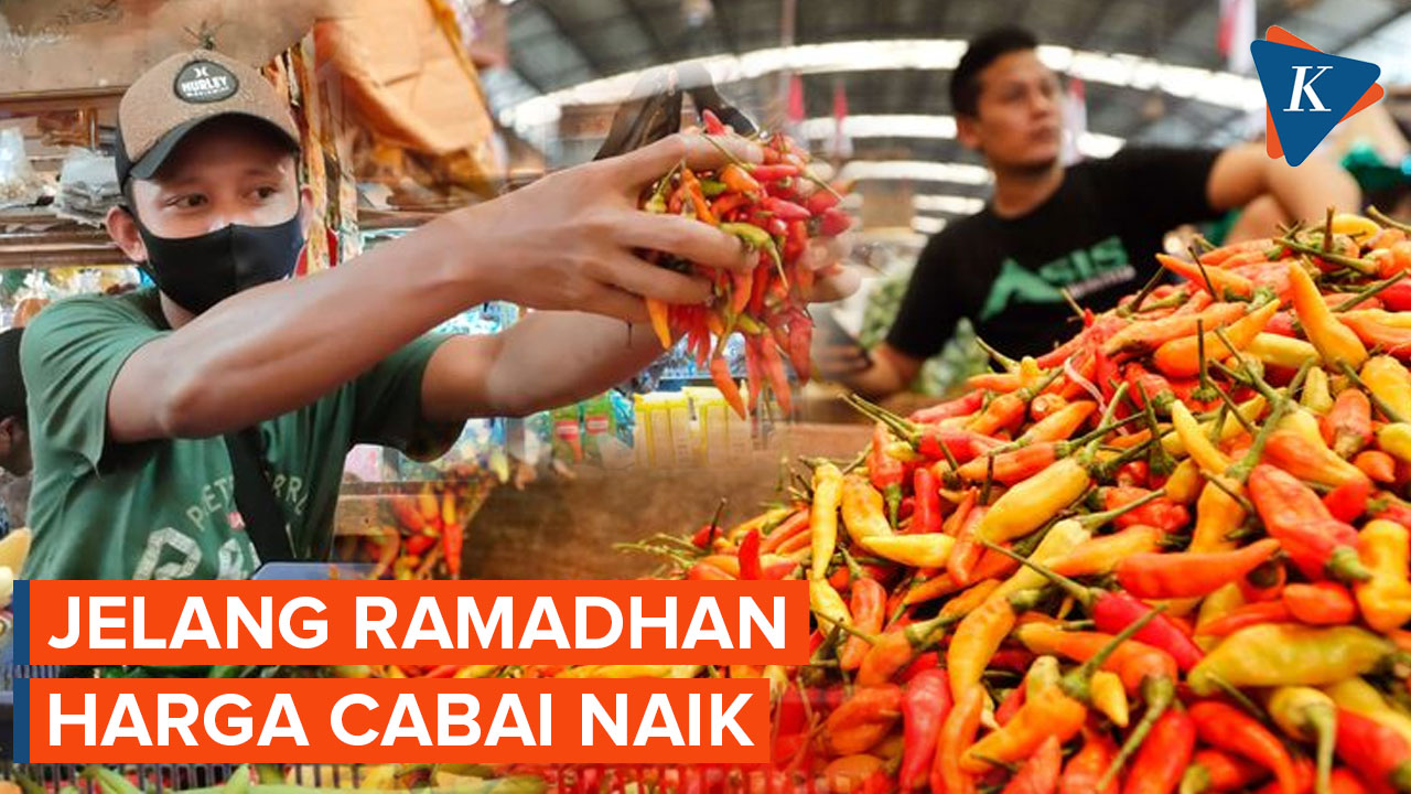 Jelang Ramadhan Harga Cabai Naik 