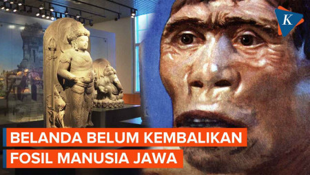 Kenapa Belanda Belum Kembalikan Fosil Manusia Jawa?