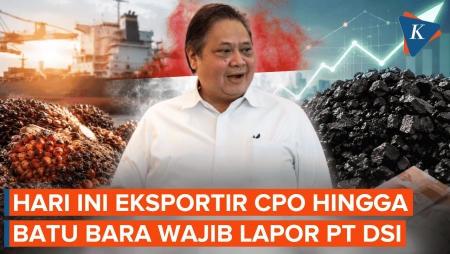 Mulai Hari Ini Ekspor Wajib Lapor PT Danantara Sumberdaya, Ini Peran Mereka