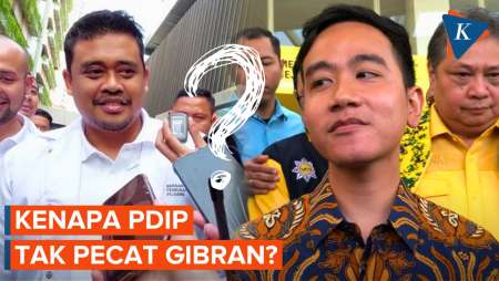 Boby Diusulkan Dipecat dari PDIP, Kok Gibran Enggak?