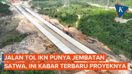 Jalan Tol IKN Punya Jembatan Satwa, Ini Kabar Terbaru Proyeknya