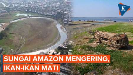 Penampakan Sungai Amazon Mengering, karena Apa?