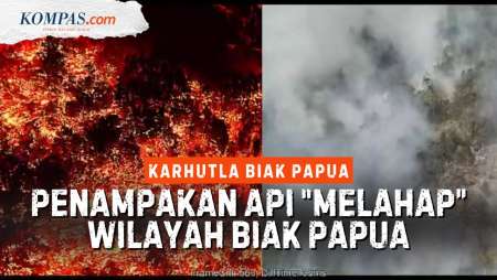 Rekaman Basarnas Tunjukkan Api Karhutla "Lahap" Hutan Di Biak, Papua Pada 23-27 Agustus 2026