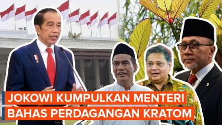 Jokowi Kumpulkan Menteri untuk Bahas Perdagangan Daun Kratom