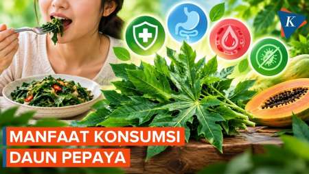 Manfaat Daun Pepaya untuk Kesehatan, Benarkah Bisa Cegah Kanker?