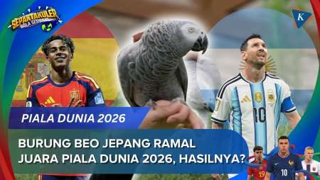 Burung Beo Ramal Pemenang Piala Dunia 2026, Argentina Atau Spanyol?