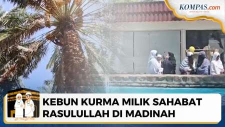 Menelusuri Kebun Kurma Abdul Rahman Bin Auf Di Madinah, Ada Sumur Berusia 1.400 Tahun