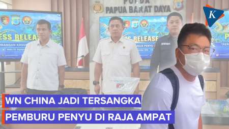 WN China Penembak Penyu di Raja Ampat Jadi Tersangka, 2 Rekannya Buron