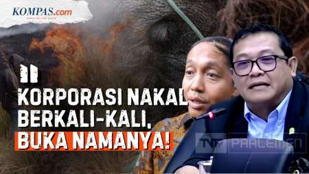 DPR Vs Menhut Raja Juli Soal Karhutla, Soroti Video Viral Tanam Sawit Di Tengah Lahan Hangus