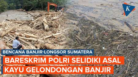 Bareskrim Polri Selidiki Asal Usul Kayu Gelondongan Banjir Sumatera
