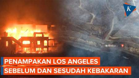 Citra Satelit Tunjukkan Kondisi Los Angeles Sebelum dan Sesudah Kebakaran Besar