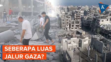 Seberapa Luas Jalur Gaza dan Bagaimana Kondisi Penduduknya?