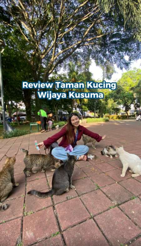 Pecinta Kucing Pasti Betah Nongkrong Di Taman Ini!