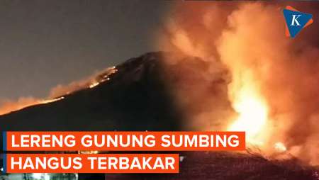 Gunung Sumbing Kebakaran, Puluhan Pendaki Dievakuasi dan Jalur Pendakian Ditutup Total