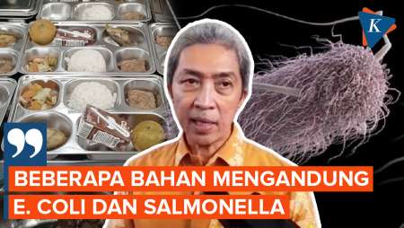 Menu MBG Mengandung E.Coli dan Salmonela, Penyebab Keracunan Siswa di Bogor