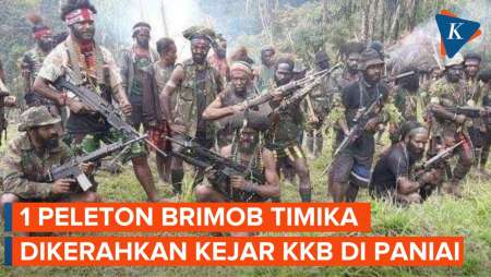 Polda Papua Kirim 1 Peleton Brimob Timika untuk Kejar KKB Aibon Kogoya di Paniai