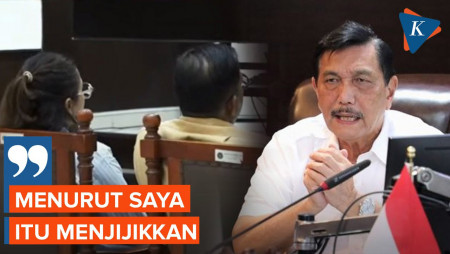 Momen Luhut Sakit Hati Dijuluki 