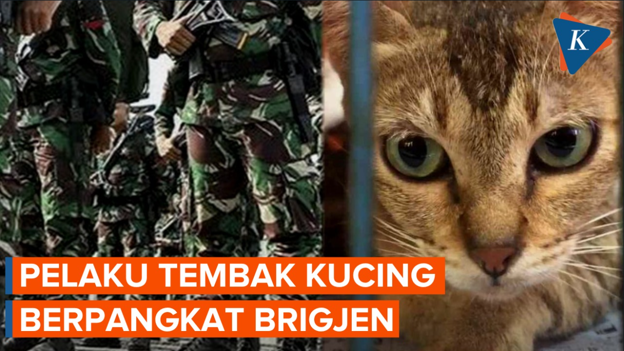 Pelaku yang Tembaki Kucing di Sesko TNI Bandung Berpangkat Brigjen
