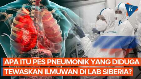 Diduga Tewaskan Ilmuwan di Lab Rusia, Apa Itu Pes Pneumonia?