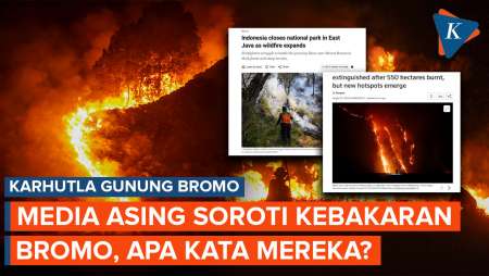 Media Asing Soroti Kebakaran Bromo yang Terus Meluas, Apa Kata Mereka?