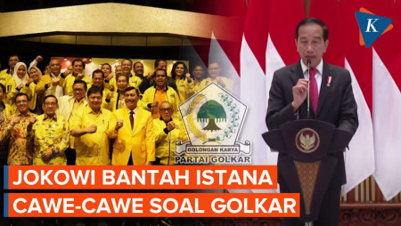 Istana Disebut Ikut Campur soal Partai Golkar, Ini Tanggapan Jokowi