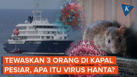 Apa Itu Virus Hanta? Kenali Gejala Awal dan Cara Penularannya