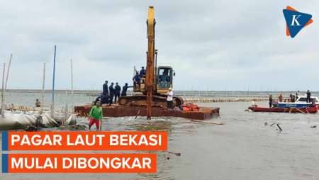 Perusahaan Bongkar Mandiri Pagar Laut di Bekasi